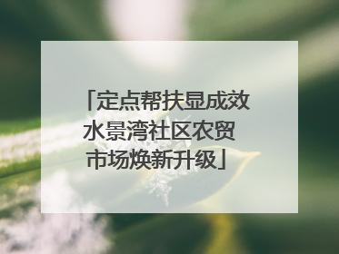 定点帮扶显成效 水景湾社区农贸市场焕新升级