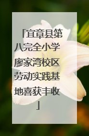 宜章县第八完全小学廖家湾校区劳动实践基地喜获丰收