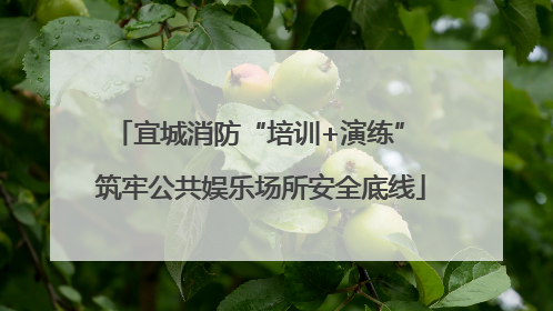 宜城消防“培训+演练” 筑牢公共娱乐场所安全底线