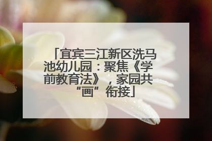 宜宾三江新区洗马池幼儿园：聚焦《学前教育法》，家园共“画”衔接
