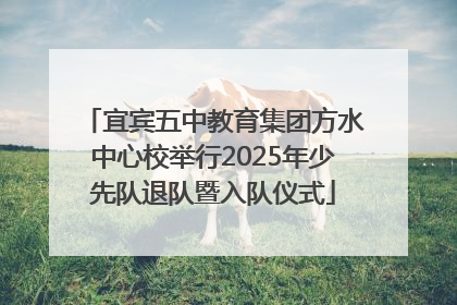 宜宾五中教育集团方水中心校举行2025年少先队退队暨入队仪式