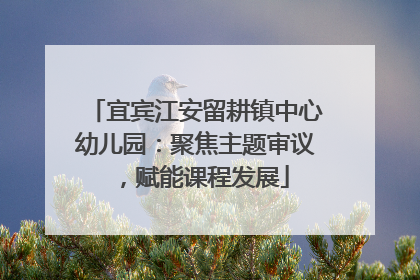 宜宾江安留耕镇中心幼儿园：聚焦主题审议，赋能课程发展