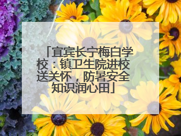 宜宾长宁梅白学校：镇卫生院进校送关怀，防暑安全知识润心田