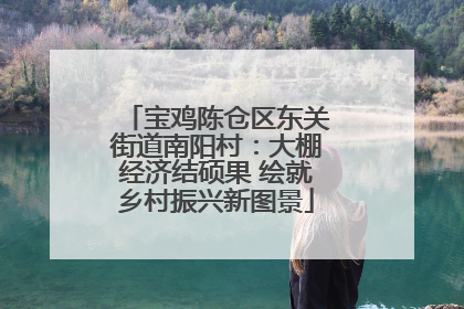 宝鸡陈仓区东关街道南阳村：大棚经济结硕果 绘就乡村振兴新图景