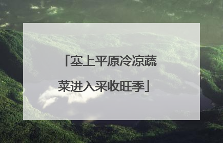塞上平原冷凉蔬菜进入采收旺季
