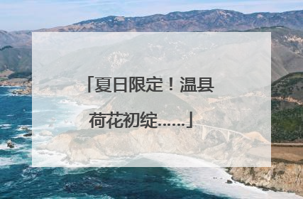 夏日限定！温县荷花初绽……
