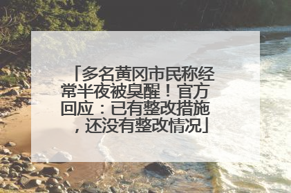 多名黄冈市民称经常半夜被臭醒！官方回应：已有整改措施，还没有整改情况
