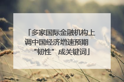 多家国际金融机构上调中国经济增速预期 “韧性”成关键词
