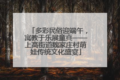 多彩民俗迎端午，寓教于乐展童真——上高街道魏家庄村萌娃传统文化盛宴