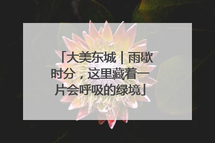 大美东城｜雨歇时分，这里藏着一片会呼吸的绿境
