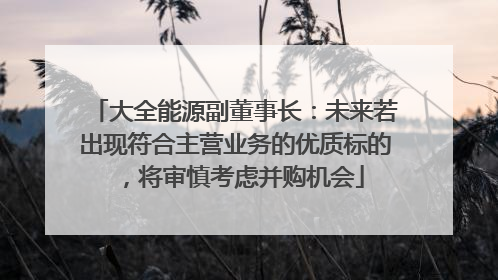 大全能源副董事长：未来若出现符合主营业务的优质标的，将审慎考虑并购机会