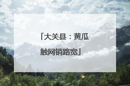 大关县：黄瓜触网销路宽