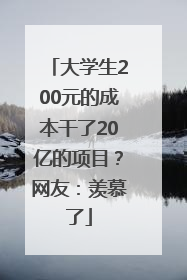 大学生200元的成本干了20亿的项目？网友：羡慕了
