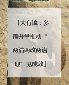 大有镇：多措并举推动“两清两改两治理”见成效