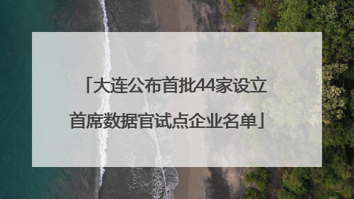 大连公布首批44家设立首席数据官试点企业名单