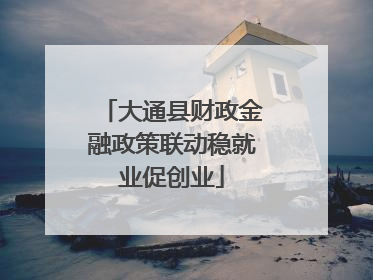 大通县财政金融政策联动稳就业促创业