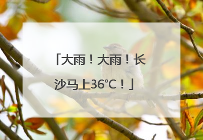 大雨！大雨！长沙马上36℃！