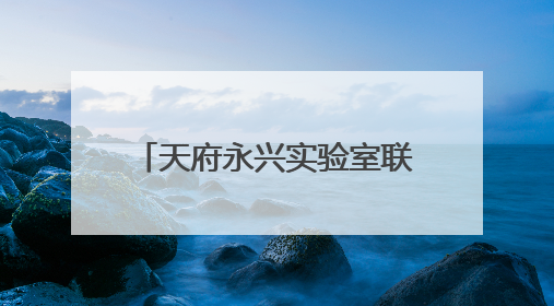 天府永兴实验室联席执行主任梁斌：落实从实验室到产业发展的最后一公里