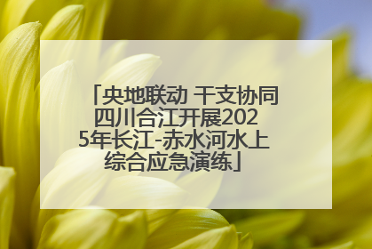 央地联动 干支协同 四川合江开展2025年长江-赤水河水上综合应急演练
