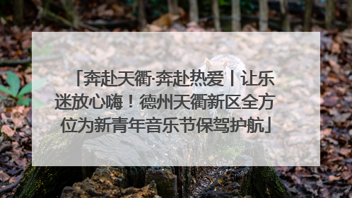 奔赴天衢·奔赴热爱丨让乐迷放心嗨！德州天衢新区全方位为新青年音乐节保驾护航