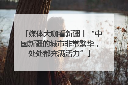 媒体大咖看新疆丨“中国新疆的城市非常繁华，处处都充满活力”