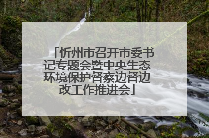 忻州市召开市委书记专题会暨中央生态环境保护督察边督边改工作推进会