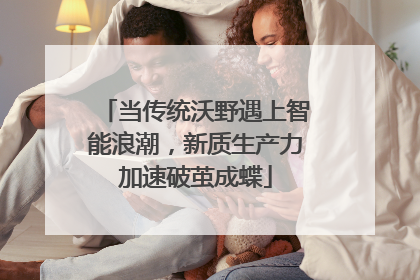 当传统沃野遇上智能浪潮，新质生产力加速破茧成蝶