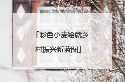 彩色小麦绘就乡村振兴新蓝图