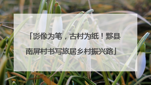 影像为笔，古村为纸！黟县南屏村书写旅居乡村振兴路