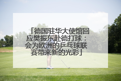 德国驻华大使馆回应樊振东赴德打球：会为欧洲的乒乓球联赛带来新的光彩