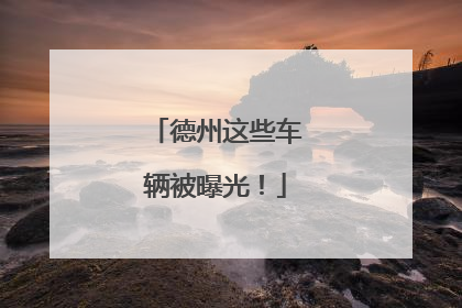 德州这些车辆被曝光！
