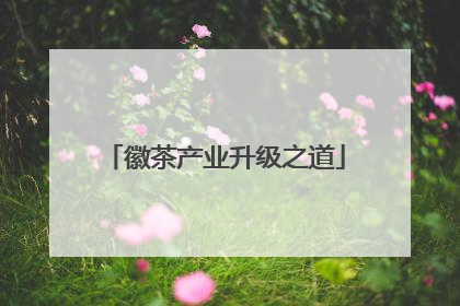 徽茶产业升级之道