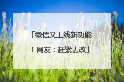 微信又上线新功能！网友：赶紧去改
