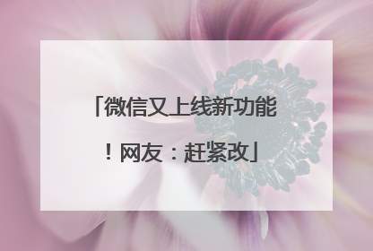 微信又上线新功能！网友：赶紧改
