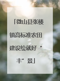 微山县张楼镇高标准农田建设绘就好“丰”景