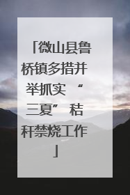 微山县鲁桥镇多措并举抓实 “三夏” 秸秆禁烧工作