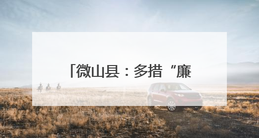 微山县：多措“廉”动 清风护安