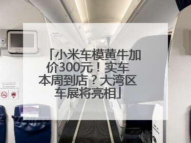 小米车模黄牛加价300元！实车本周到店？大湾区车展将亮相