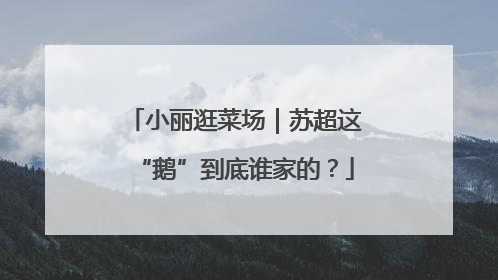 小丽逛菜场｜苏超这“鹅”到底谁家的？