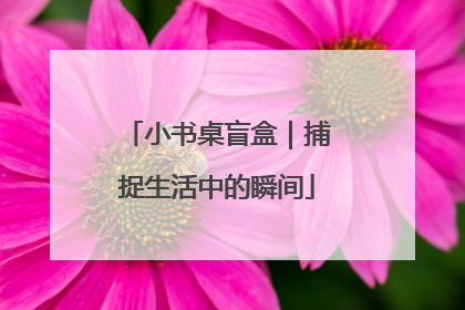 小书桌盲盒｜捕捉生活中的瞬间
