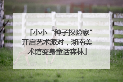 小小“种子探险家”开启艺术派对，湖南美术馆变身童话森林