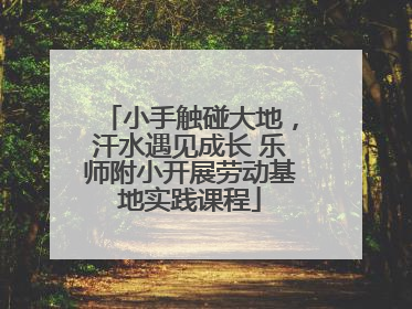小手触碰大地，汗水遇见成长 乐师附小开展劳动基地实践课程