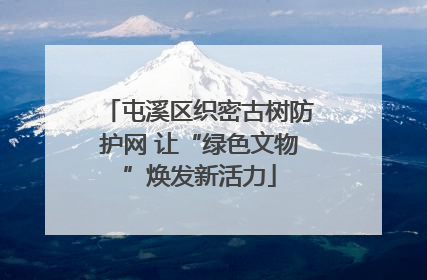 屯溪区织密古树防护网 让“绿色文物”焕发新活力