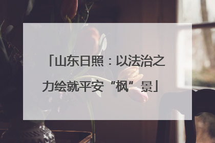 山东日照：以法治之力绘就平安“枫”景