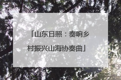 山东日照：奏响乡村振兴山海协奏曲