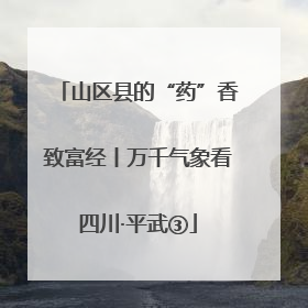 山区县的“药”香致富经丨万千气象看四川·平武③