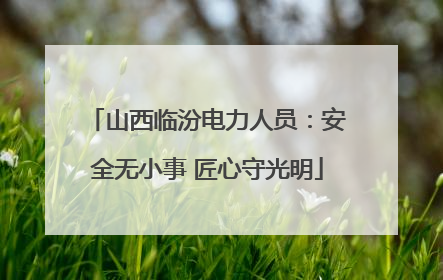 山西临汾电力人员：安全无小事 匠心守光明