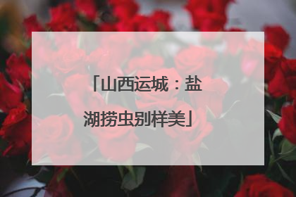 山西运城：盐湖捞虫别样美