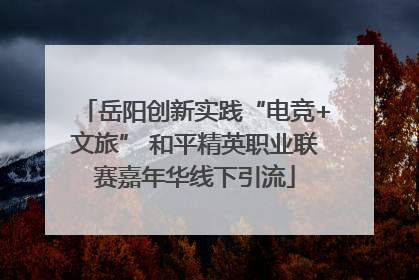 岳阳创新实践“电竞+文旅” 和平精英职业联赛嘉年华线下引流