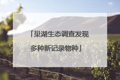 巢湖生态调查发现多种新记录物种